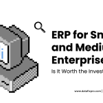 ERP for Small and Medium Enterprises: Is It Worth the Investment?